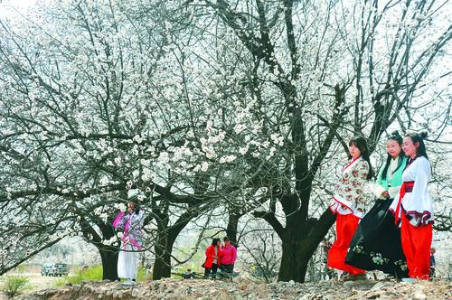 hjc888黄金城 官网娱乐平台